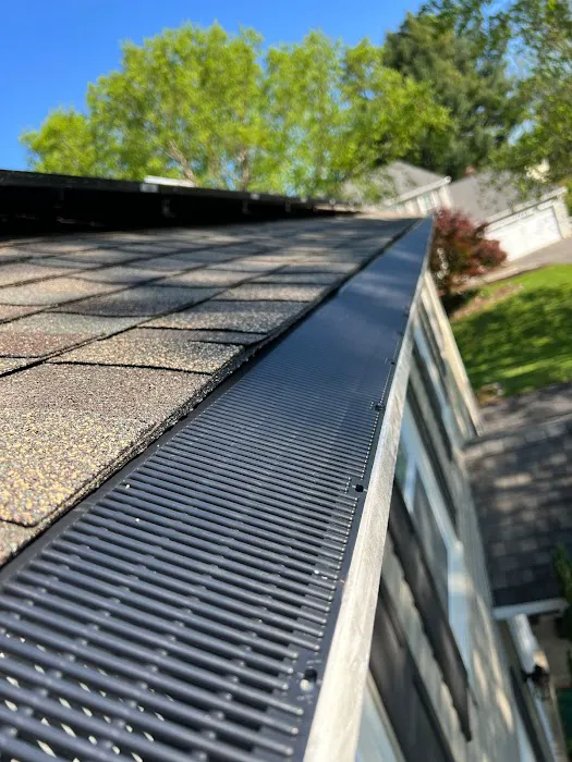 Gutter Shutter of Central Maryland Picture 2