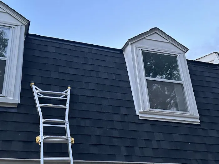 Soltera Roofing Picture 10