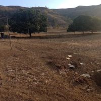 ROI Construction ico