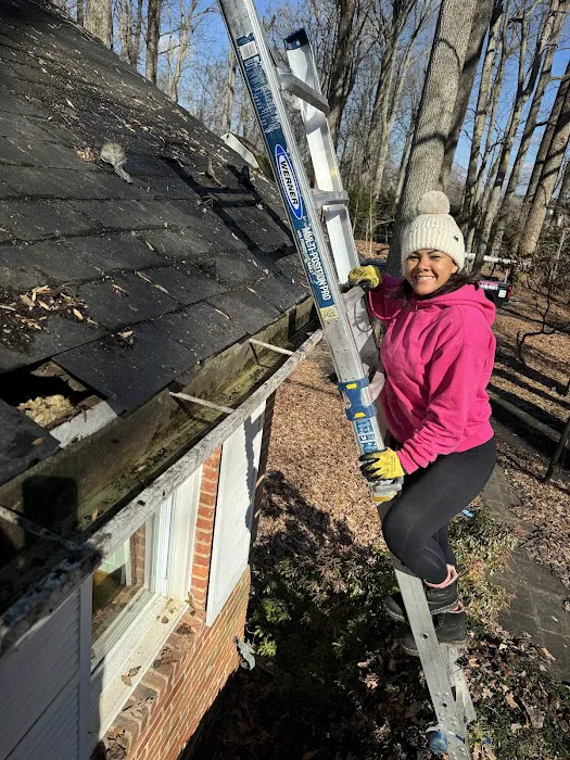 Pink Roofing LLC Picture 4