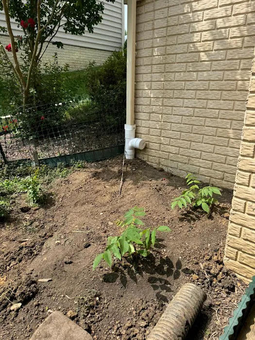 Halo Construction and Restoration Picture 8