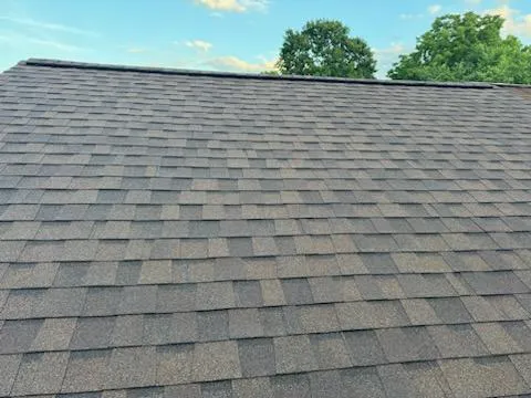 Halo Construction and Restoration Picture 4