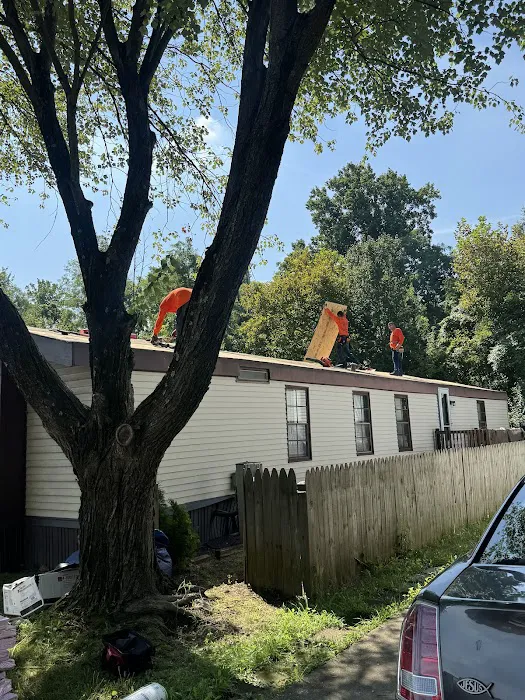 Kangaroof Picture 10