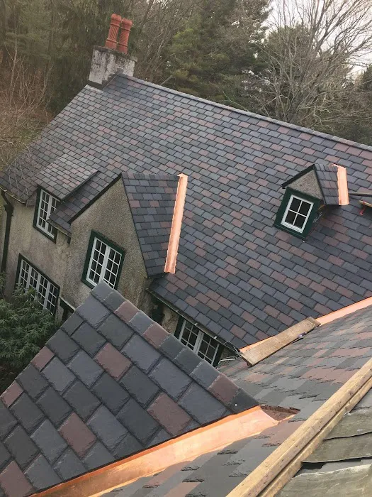 Bosworth Roofing Remodeling Picture 3