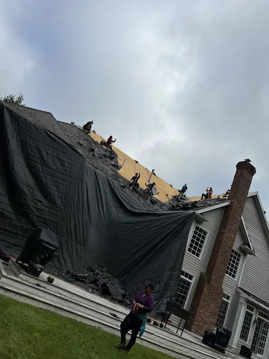 Bosworth Roofing Remodeling Picture 5