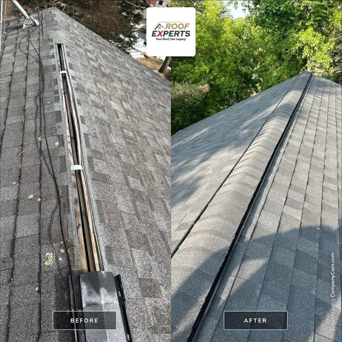 Roof Experts LLC Picture 4