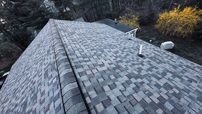 Top Quality Roofing Picture 2