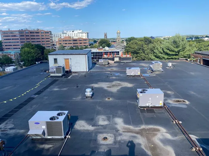 Top Quality Roofing Picture 4