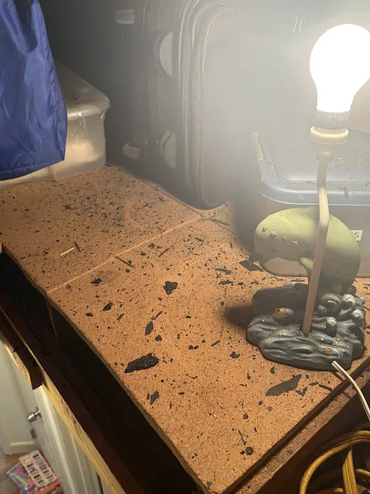 Brothers Roofing Picture 6