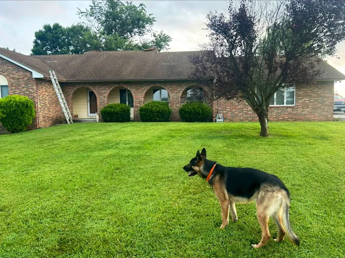 Elite Roofing & Restoration, LLC Picture 6