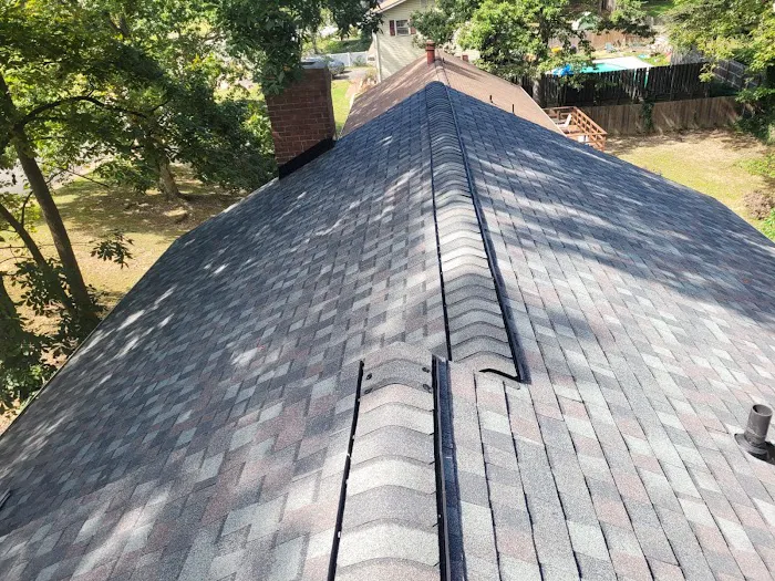 Rooftop Designs Picture 6