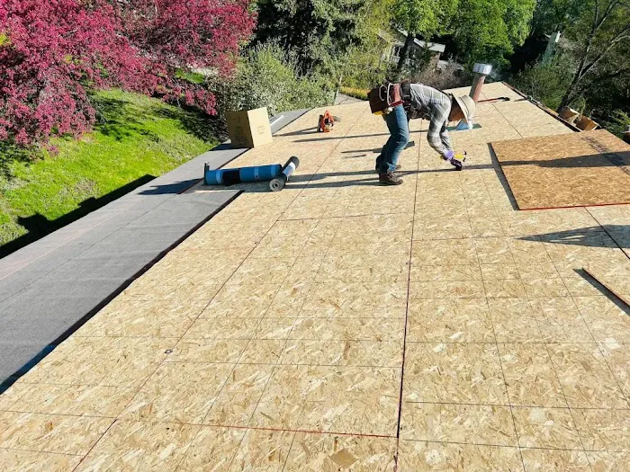 THE FLAT ROOF SPECIALISTS Picture 6