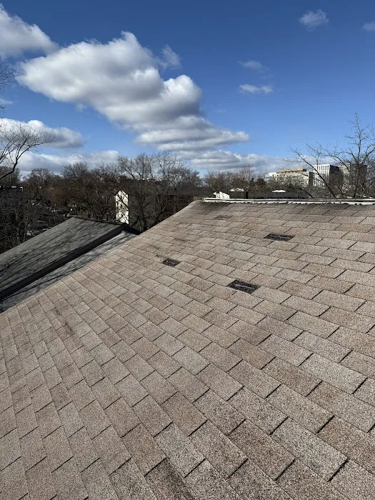 NNA CREWS LLC Picture 4