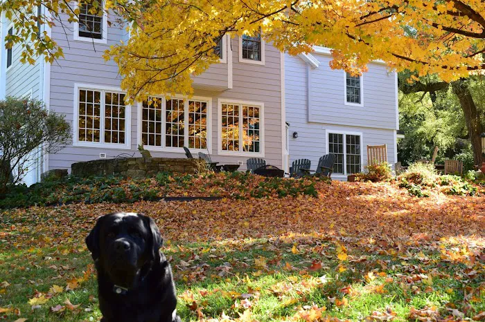 Chesapeake Roofing, Windows & Siding Inc. Picture 3