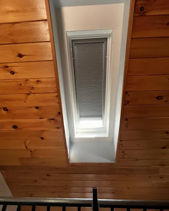 Synergy Skylights and Roof Replacement Picture 9