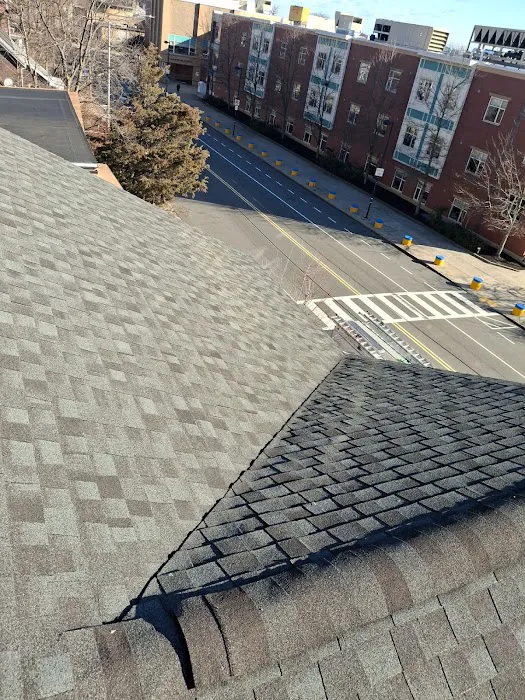 MASTERPIECE ROOFING INC Picture 6