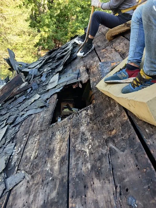 Prestige Roofing Picture 8