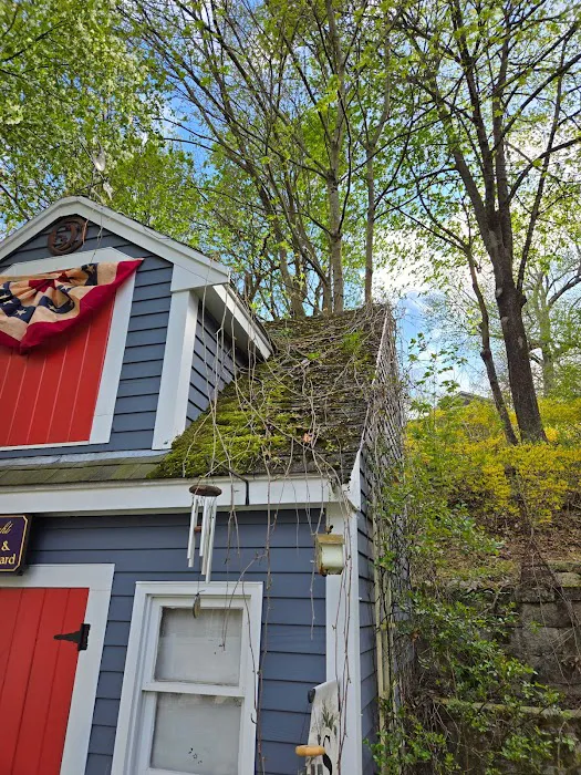 Leland Siding, Roofing & Windows Picture 10