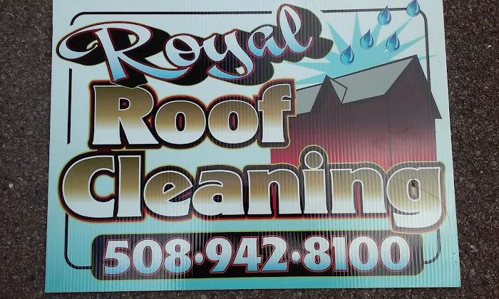 Royal Roof Cleaning Picture 9