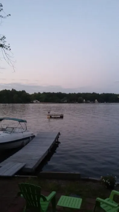 Royal Roof Cleaning Picture 7