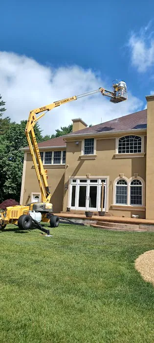 Royal Roof Cleaning Picture 4