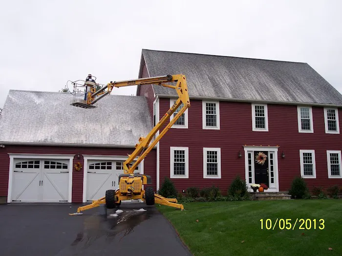 Royal Roof Cleaning Picture 2