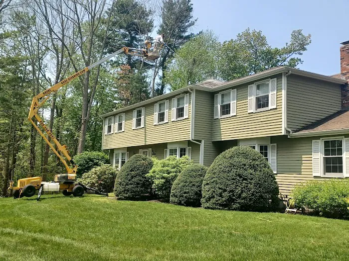 Royal Roof Cleaning Picture 10