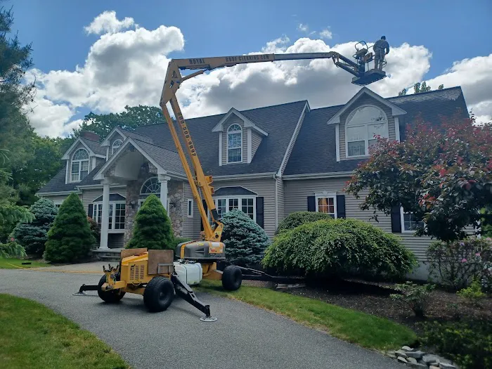 Royal Roof Cleaning Picture 6