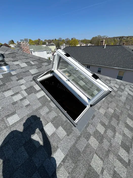 Synergy Skylights and Roof Replacement Picture 4