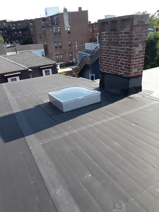 Mr Cat Roofer Picture 3