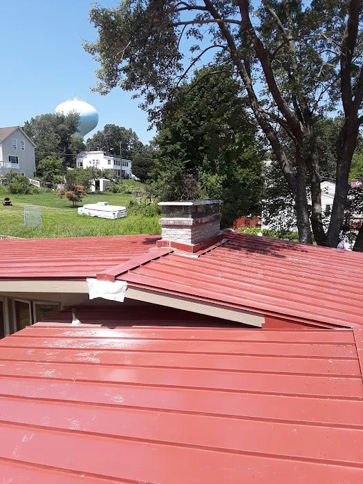 Mr Cat Roofer Picture 10