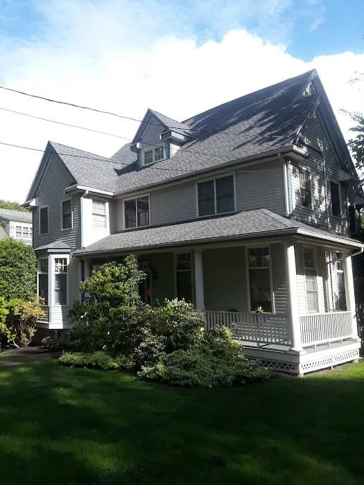 Mr Cat Roofer Picture 6