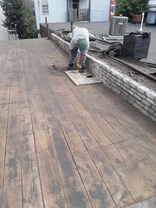 Mr Cat Roofer Picture 5