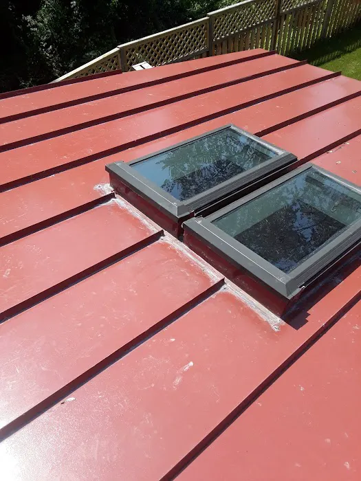 Mr Cat Roofer Picture 8