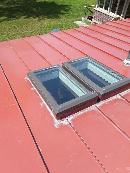 Mr Cat Roofer Picture 2