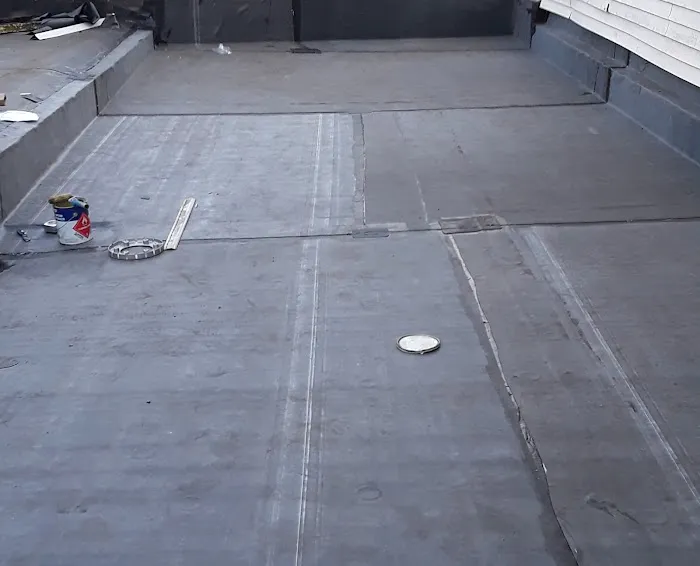 Mr Cat Roofer Picture 7