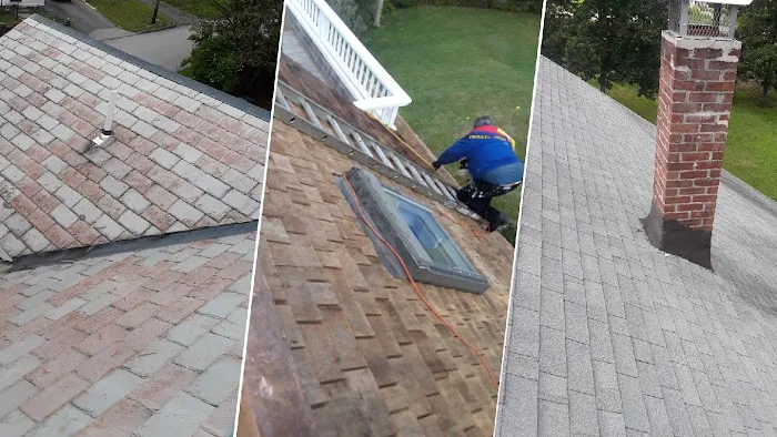 Mr Cat Roofer Picture 4