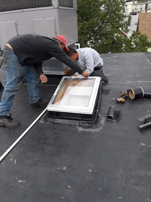 Mr Cat Roofer Picture 1