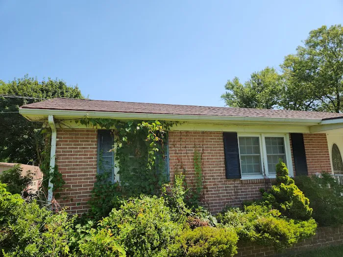 Roofsimple Picture 10