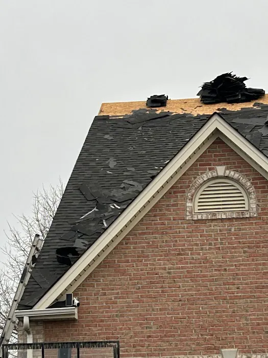 Roofsimple Picture 6