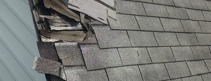 Roof Advisor, LLC Picture 4