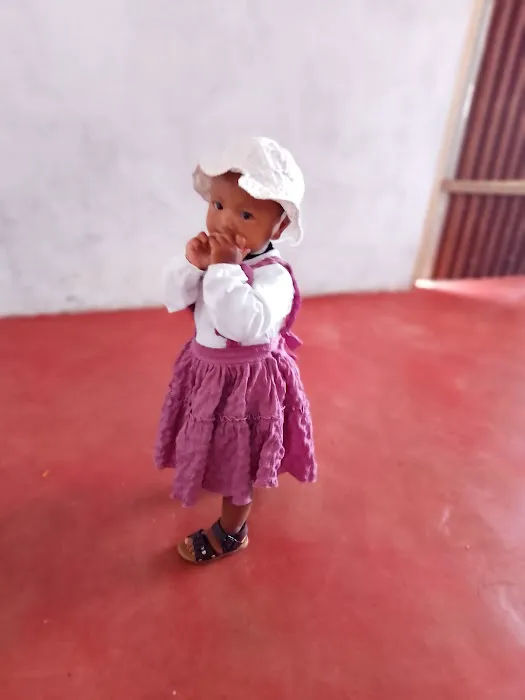 Stowe Woodward Co Picture 3