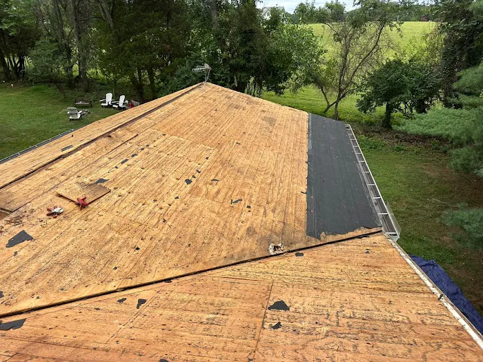 Len Home Design Inc Picture 8