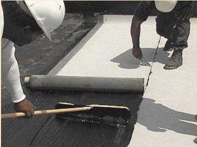 Dwivedi Consulting Picture 9