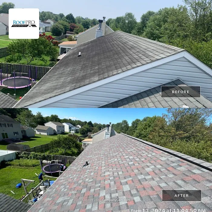 RoofPRO Picture 2