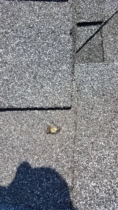 Superior Roofing Solutions Picture 5