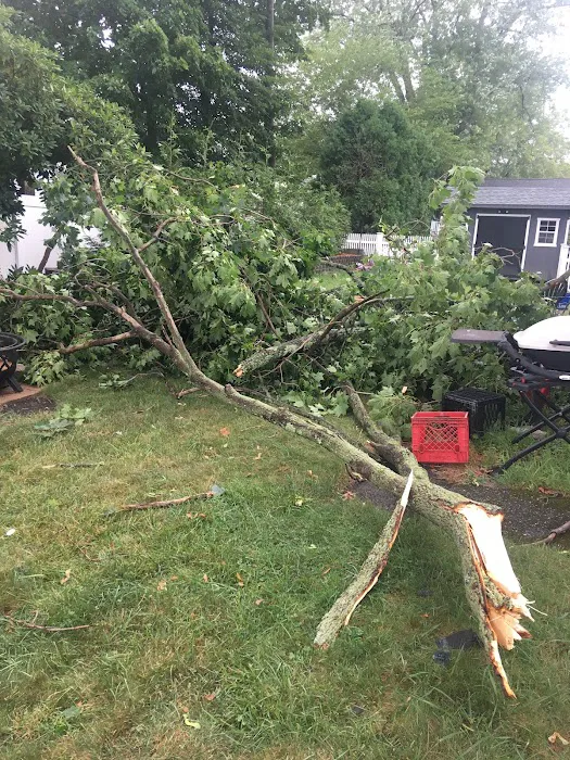 ProSense Roofing, Inc Picture 5