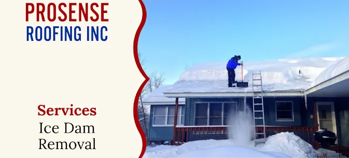 ProSense Roofing, Inc Picture 3