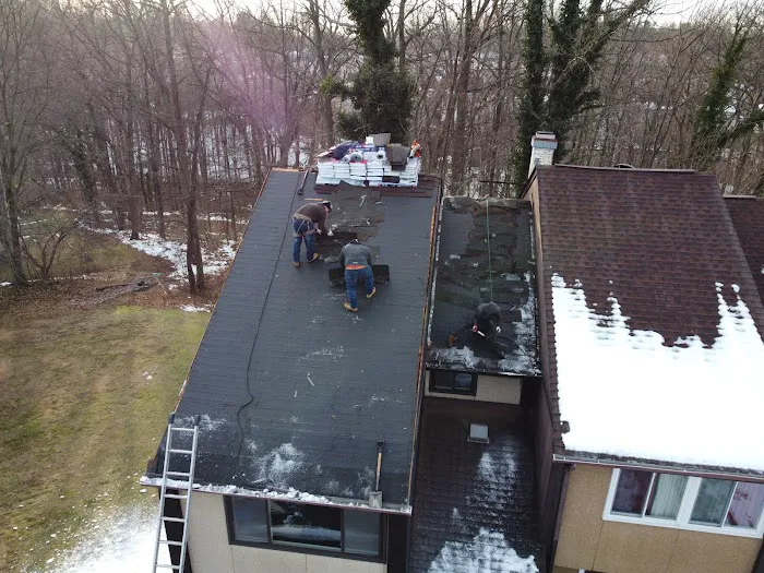 Wil the Roofer Picture 2