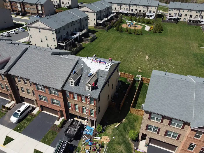 Wil the Roofer Picture 8